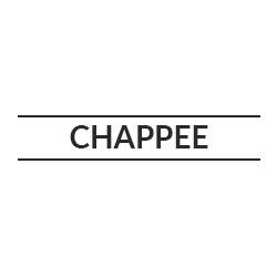 Chappee Size 273 mm x 155 mm